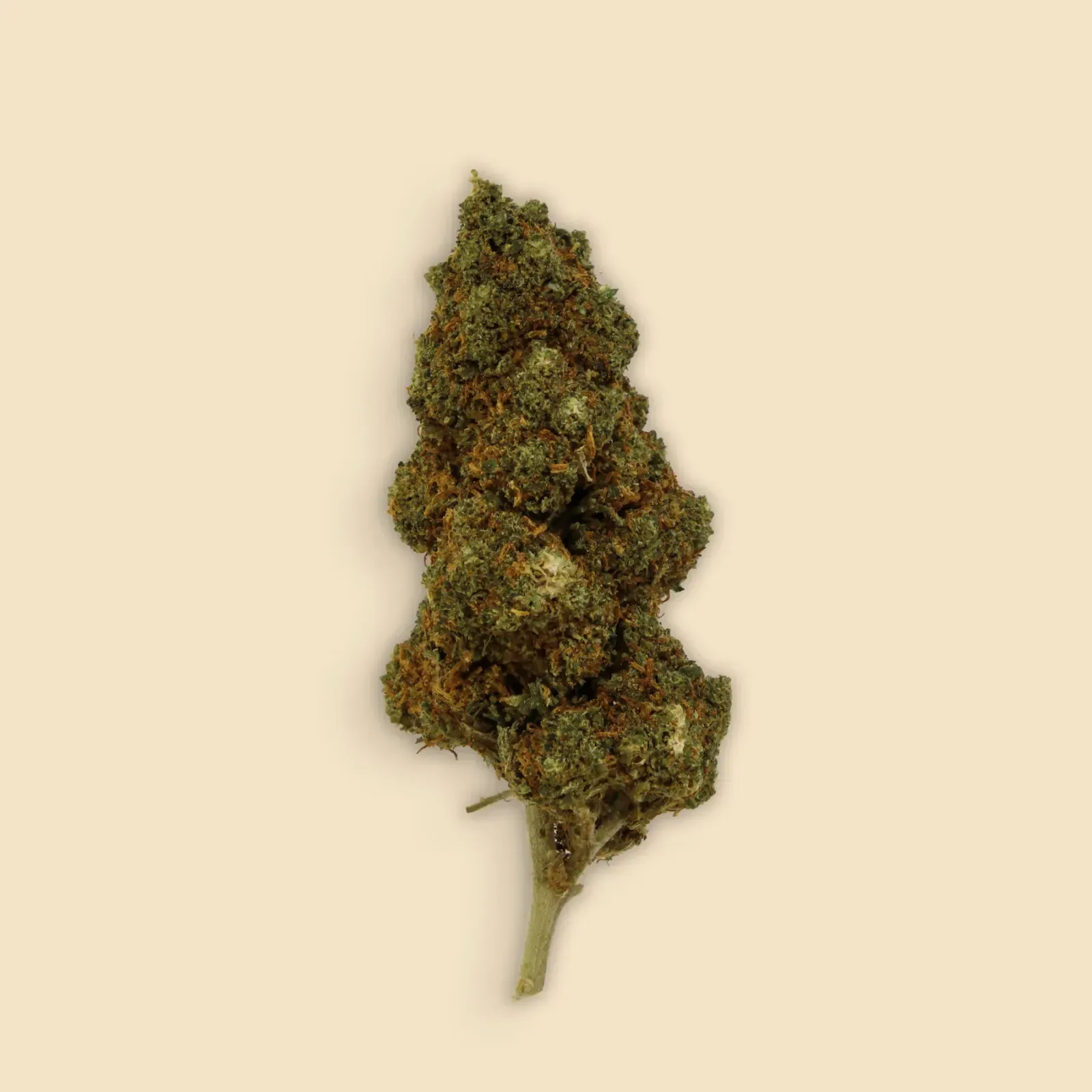 cogollos strawberry maionais cbd